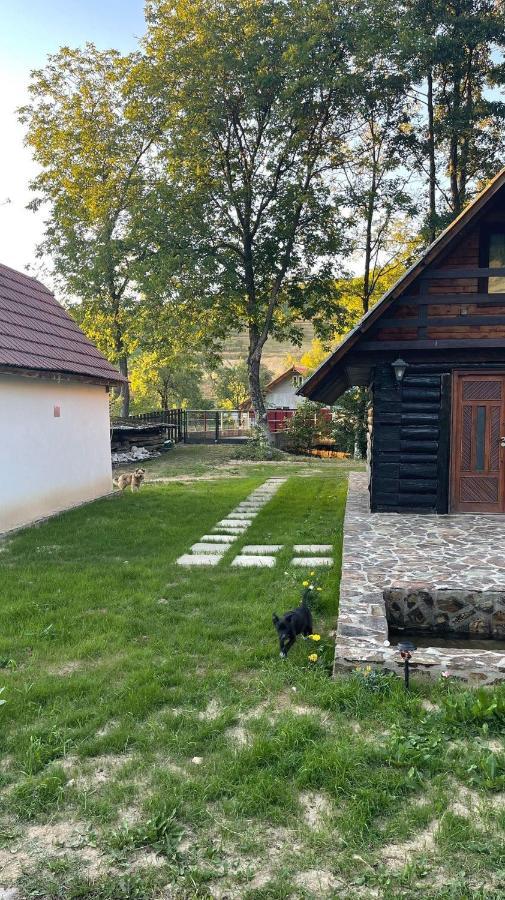 Cabana Paulina Chiscau Zewnętrze zdjęcie